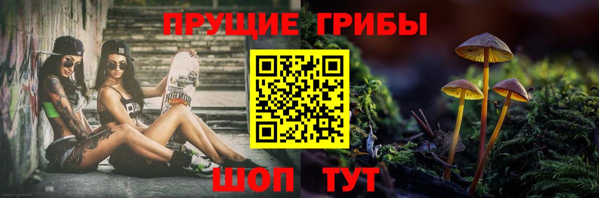 Галлюциногенные грибы Magic Shrooms Тамбов